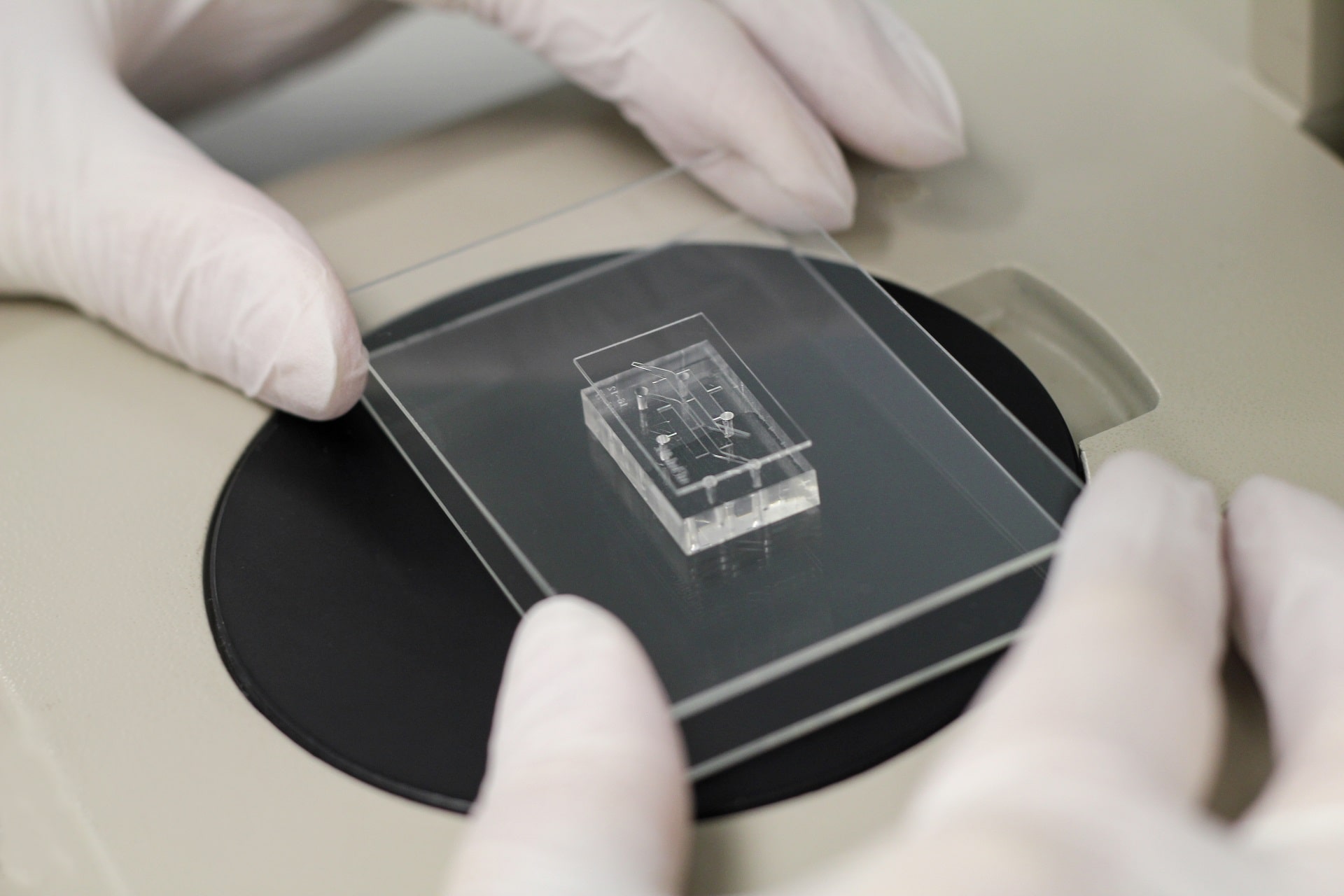 microfluidic chips sandwich
