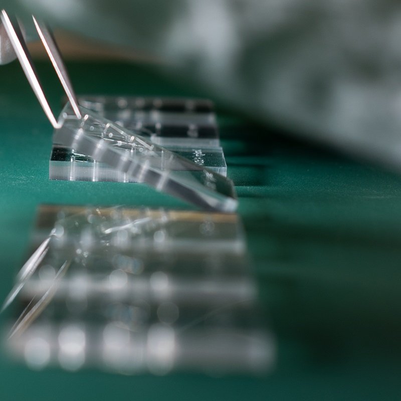 microfluidic conference list