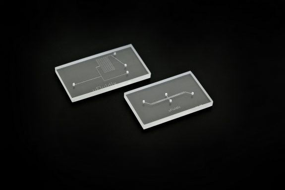 Microfluidic Chip