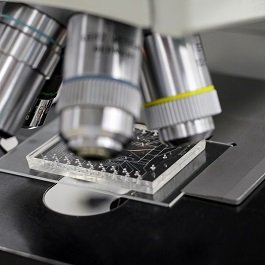 Design and Development