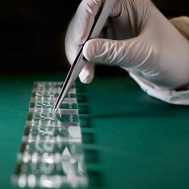 Contract Manufacturing