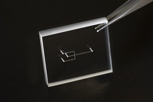 Microfluidic Chip