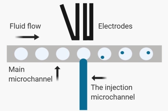 Microfluidic droplet injection