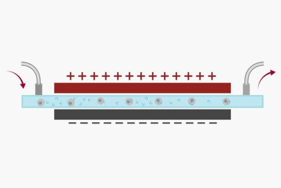 Electroporation on a chip