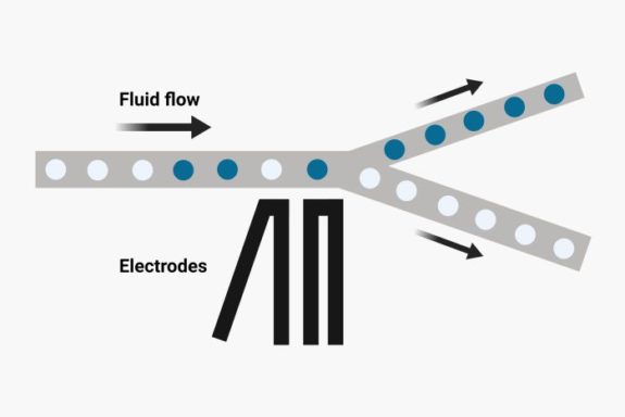 Droplet microfluidic chip schematic