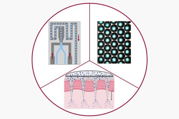 Drug delivery schematic