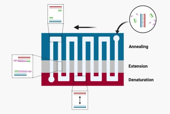 Space domain PCR copy (3)