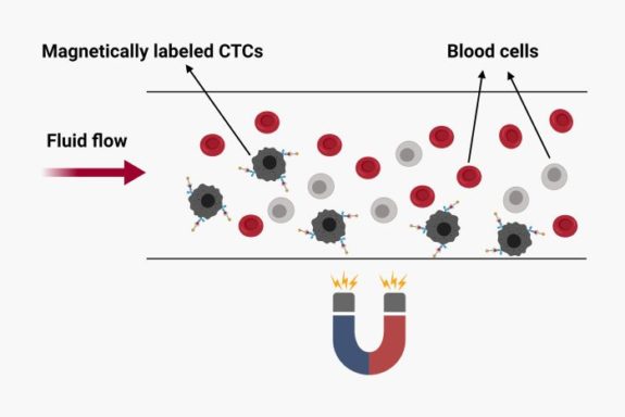 Tumor cell capturing schematic