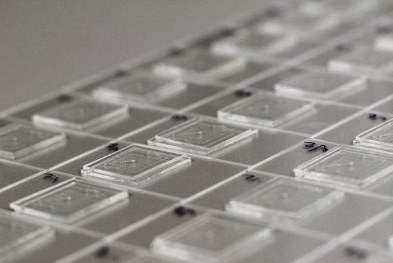 Microfluidic Chips
