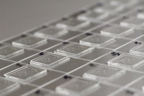 Microfluidic Chips