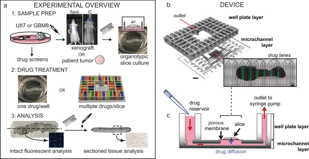 microfluidic