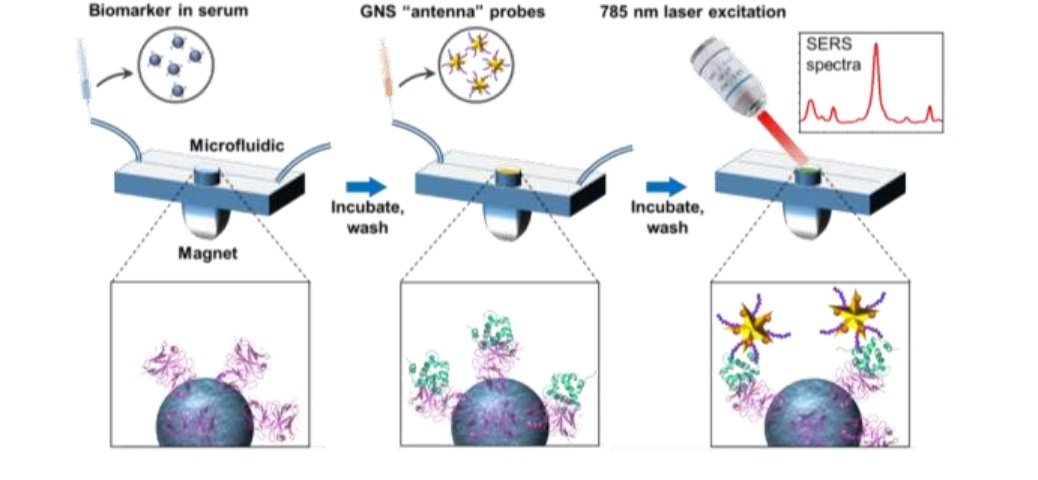 microfluidic immunoassay chip