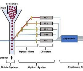 microfluidic-flow-cytometry-system