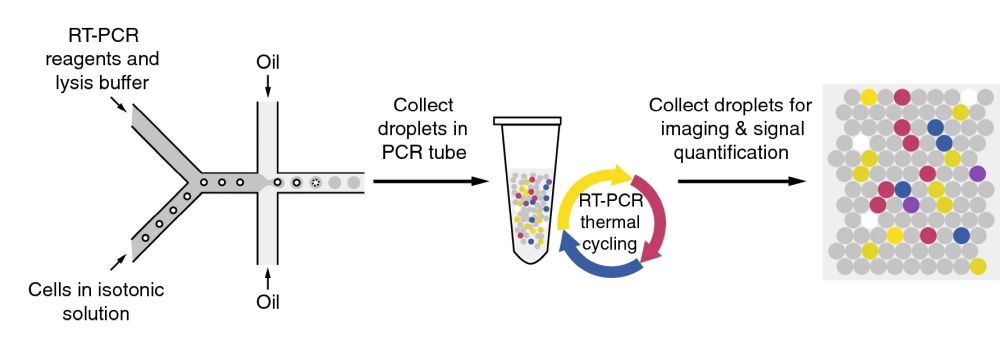 microfluidic rt-pcr chip