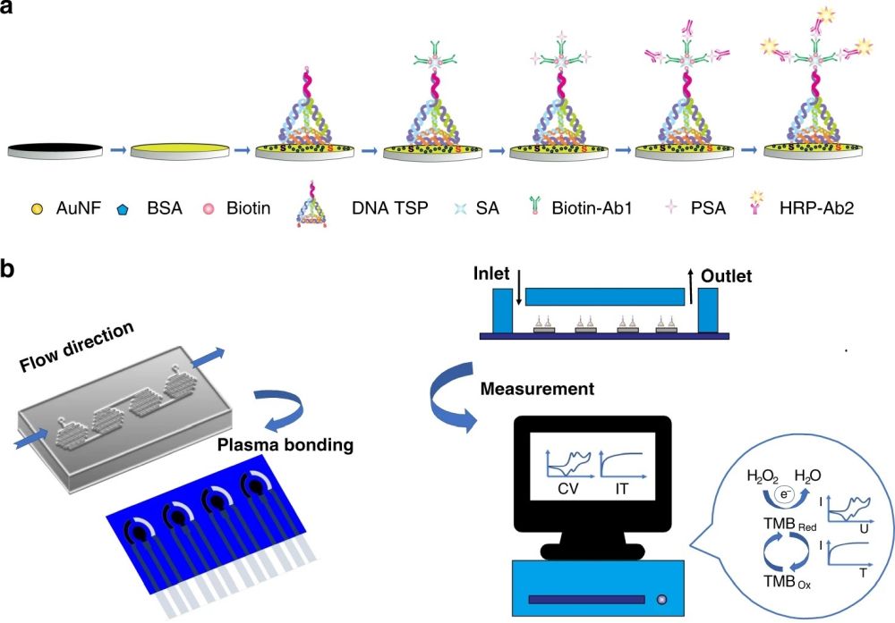 Microfluidic