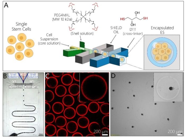 Microfluidic