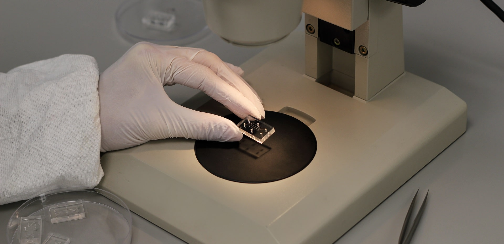 Microfluidic device under the microscope