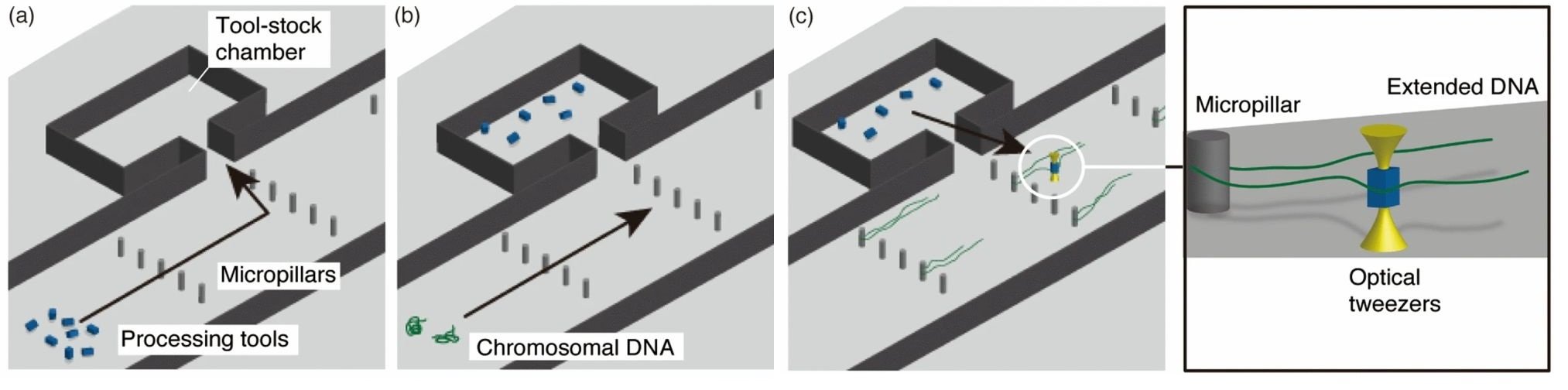 Microfluidic Workbench
