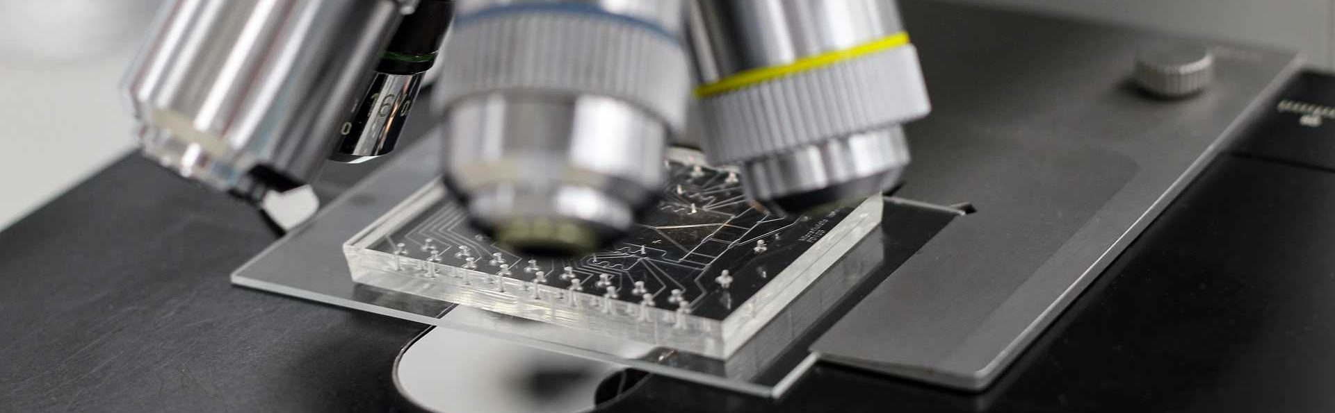 Microfluidics Chip Under the Microscope