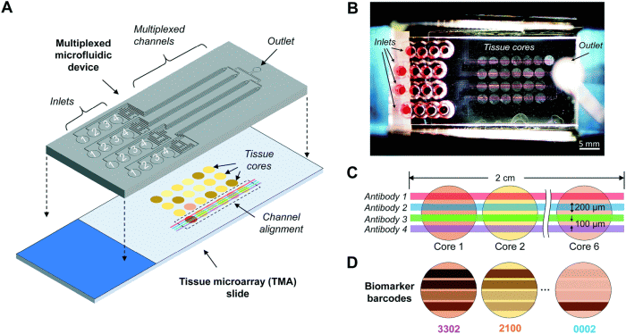 microfluidics