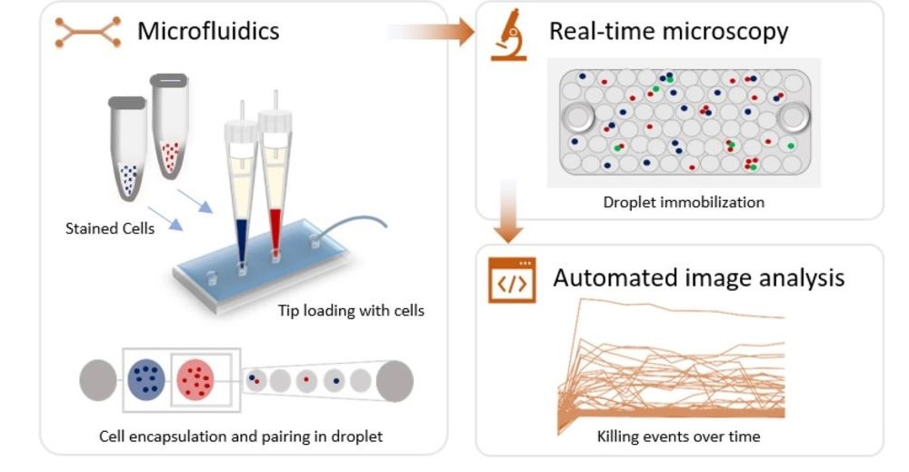 Microfluidic chip for analysis of natural killer cells in real time