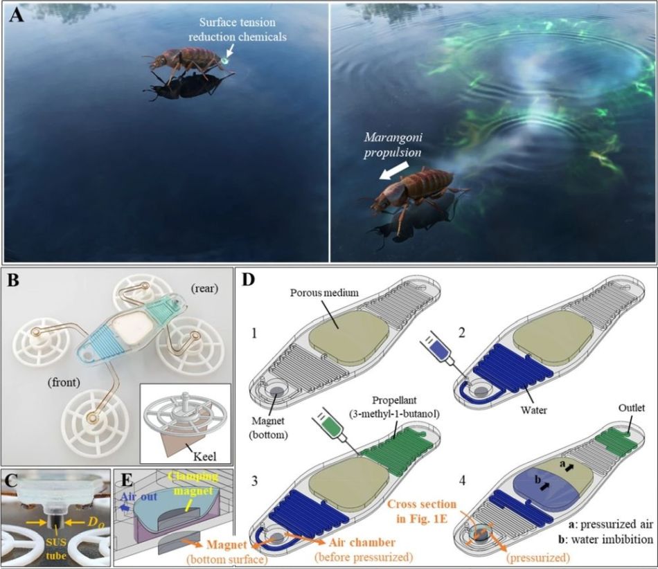Self-propelled microrobot with microfluidics
