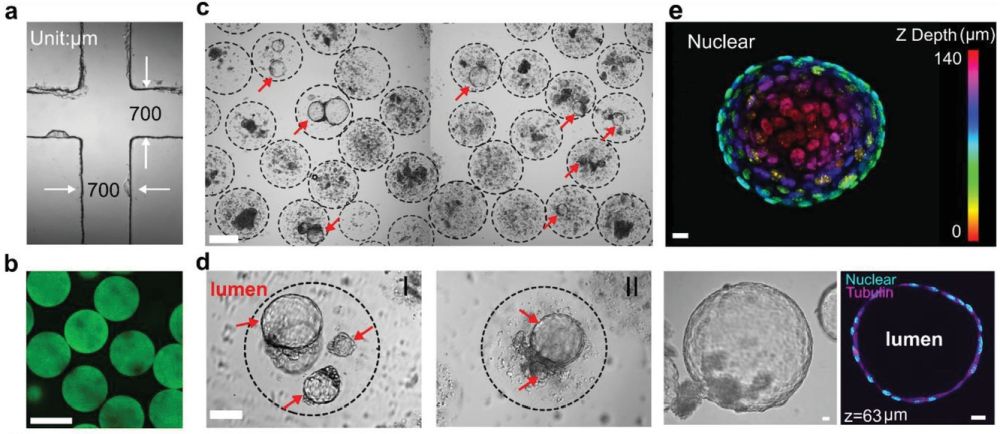 microfluidics