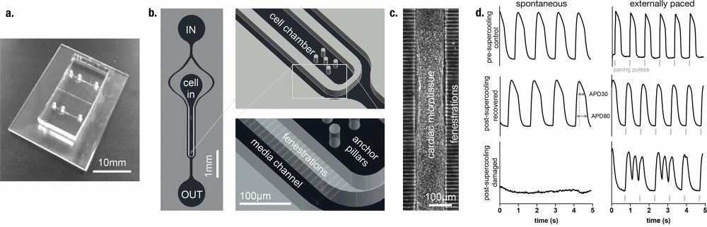 microfluidics