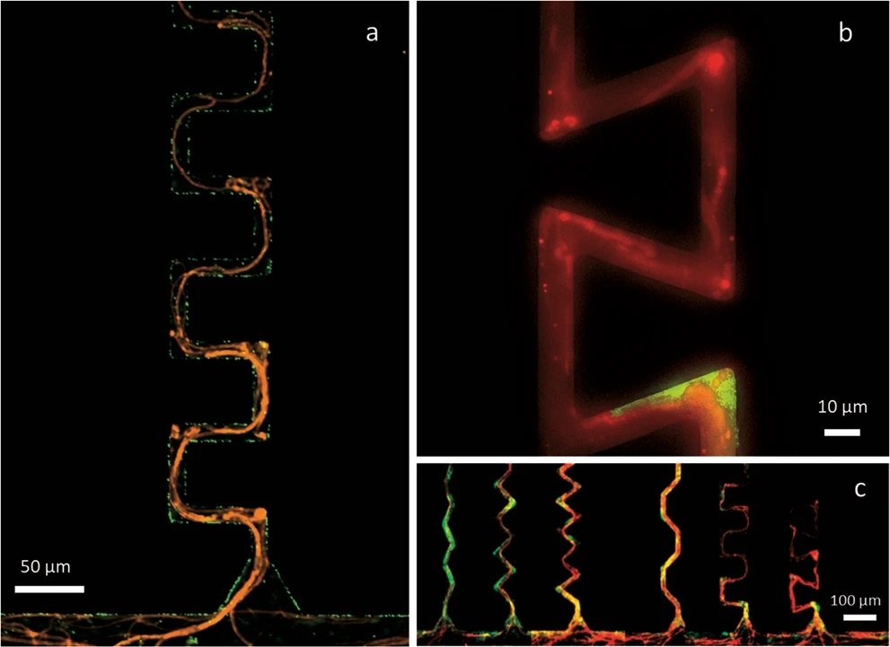 microfluidics