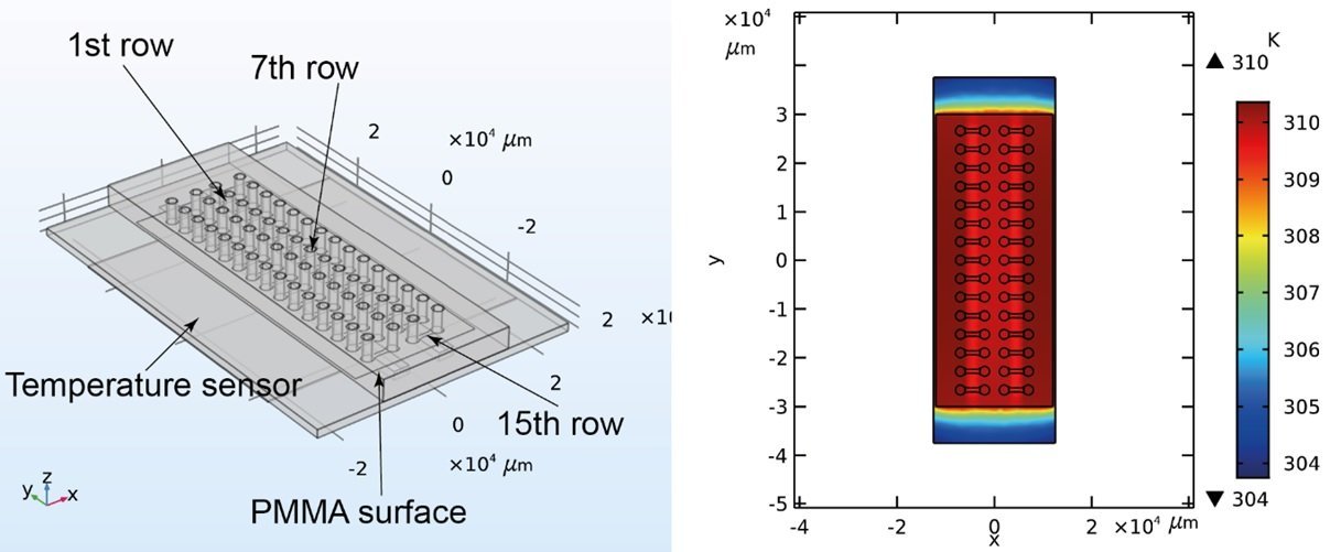 Schematic of a microfluidic chip for analyzing bacterial traveling