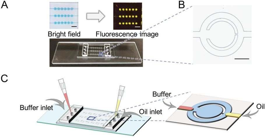 microfluidics