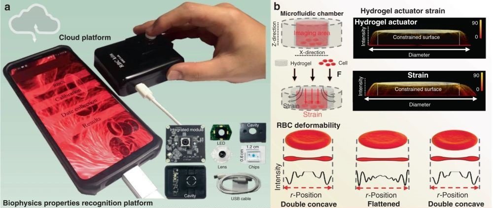 Microfluidic platform for blood analysis