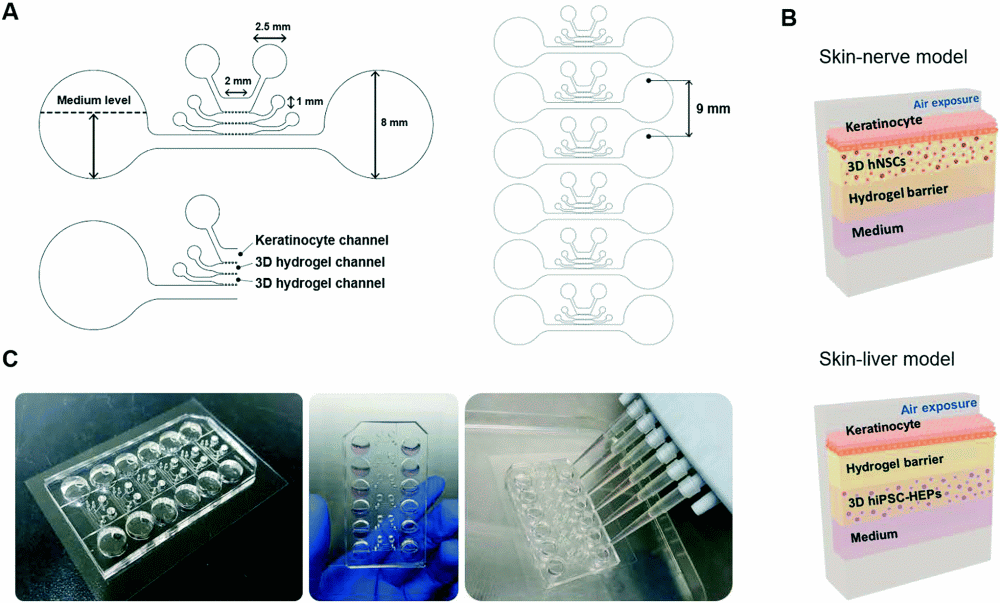 microfluidics