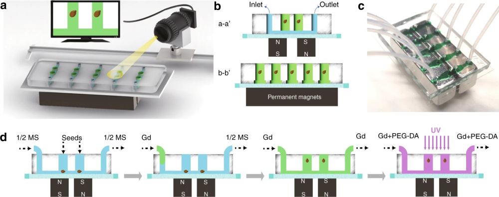 Magenetically enabled simulation of microgravity