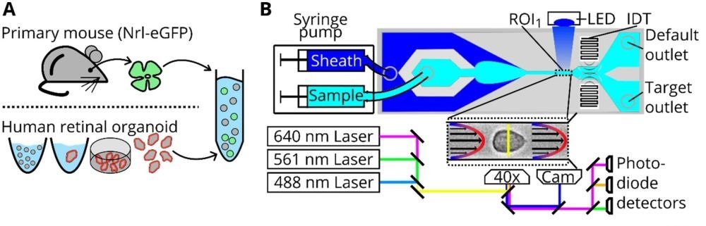 microfluidics