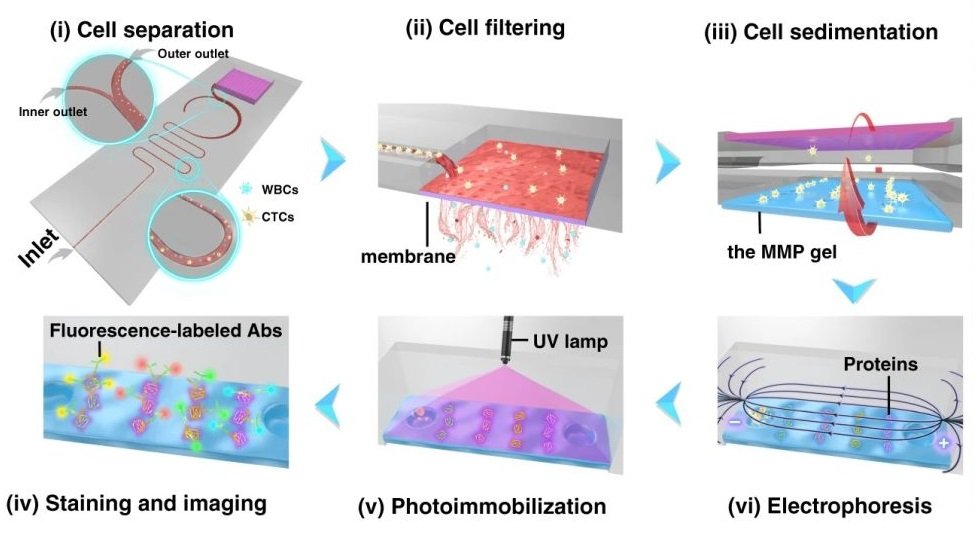microfluidics