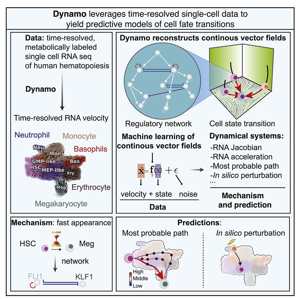 Dropseq microfludic chips for analyzing rna velocity