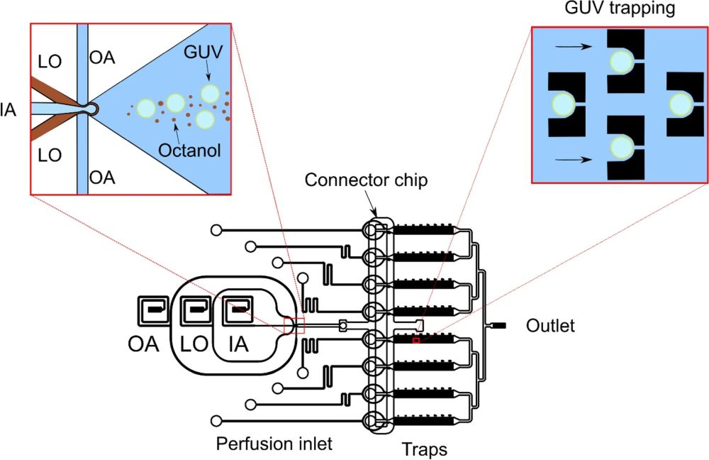 microfluidic analysis of peptides