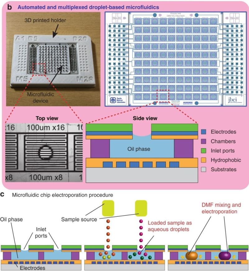 microfluidics for crispr analysis