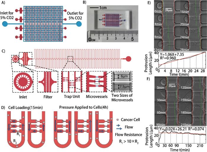 Microfluidic analysis of cancer cells
