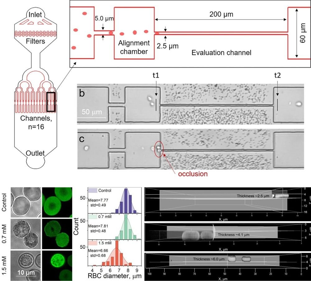 microfluidic device for red blood cell analysis