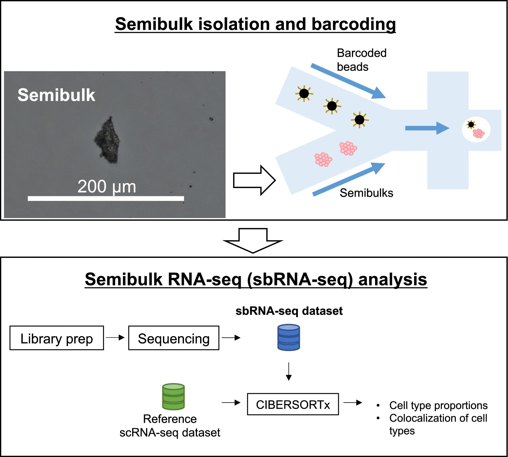 Microfluidic Chip for RNA Sequencing