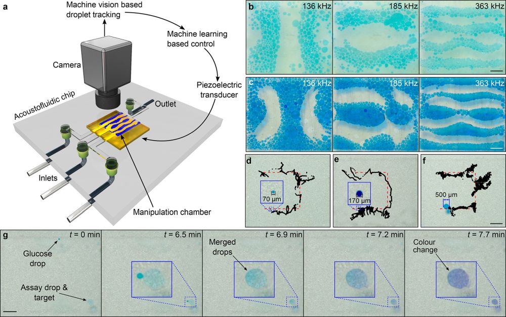 Programmable droplet microfluidic