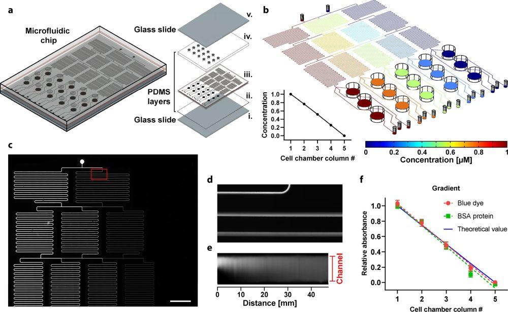 Anticancer, microfluidic BH3