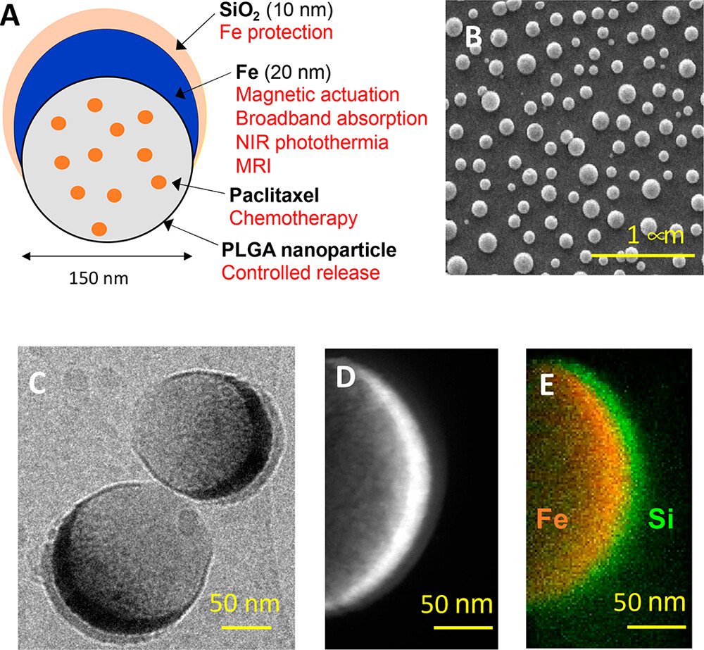 Paclitaxel-loaded capsules droplet microfluidics