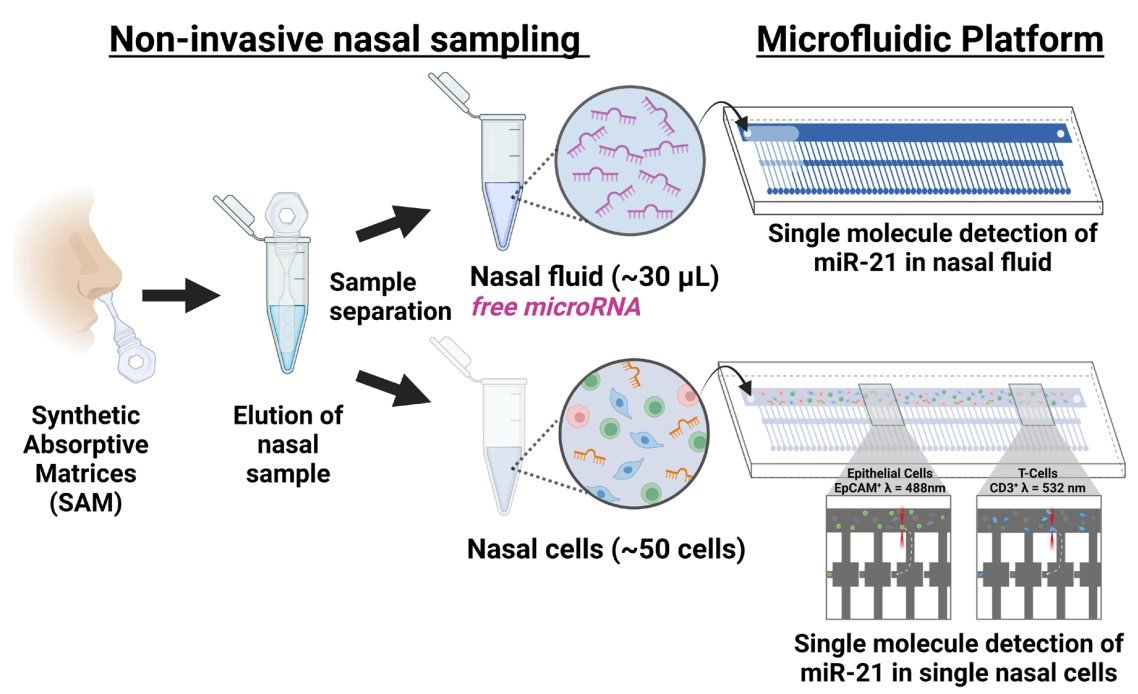 microfluidic single-cell technology for miRNA analysis