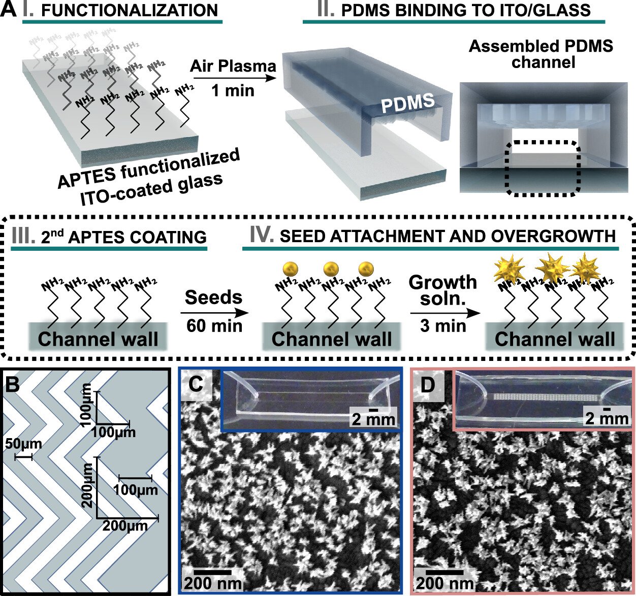 Nanostructure decorated microfluidic device