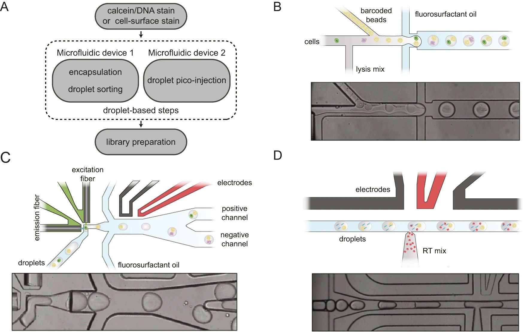 integrated droplet microfluidic platform to maximise single-cell sequencing information content