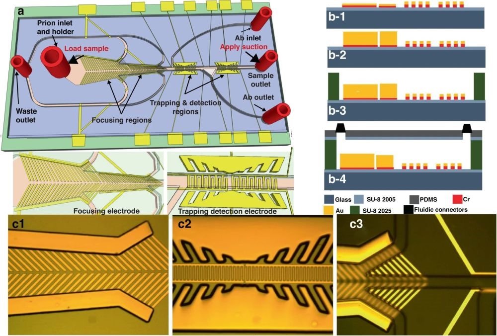 Microfluidic biosensor can help to diagnose chronic wasting disease